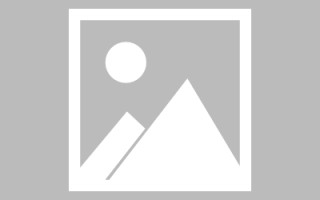 葫芦岛关于网站建设免费（关于网站建设免费的通知）